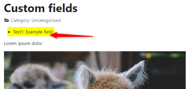 joomla 4 custom fields before display field example in article