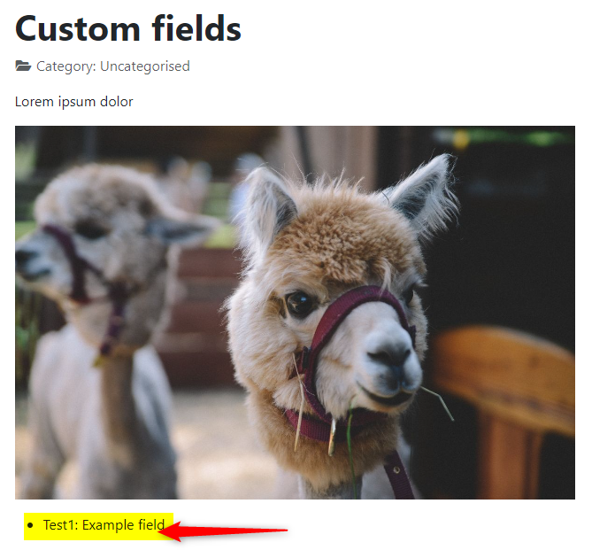 joomla 4 custom fields after display field example in article