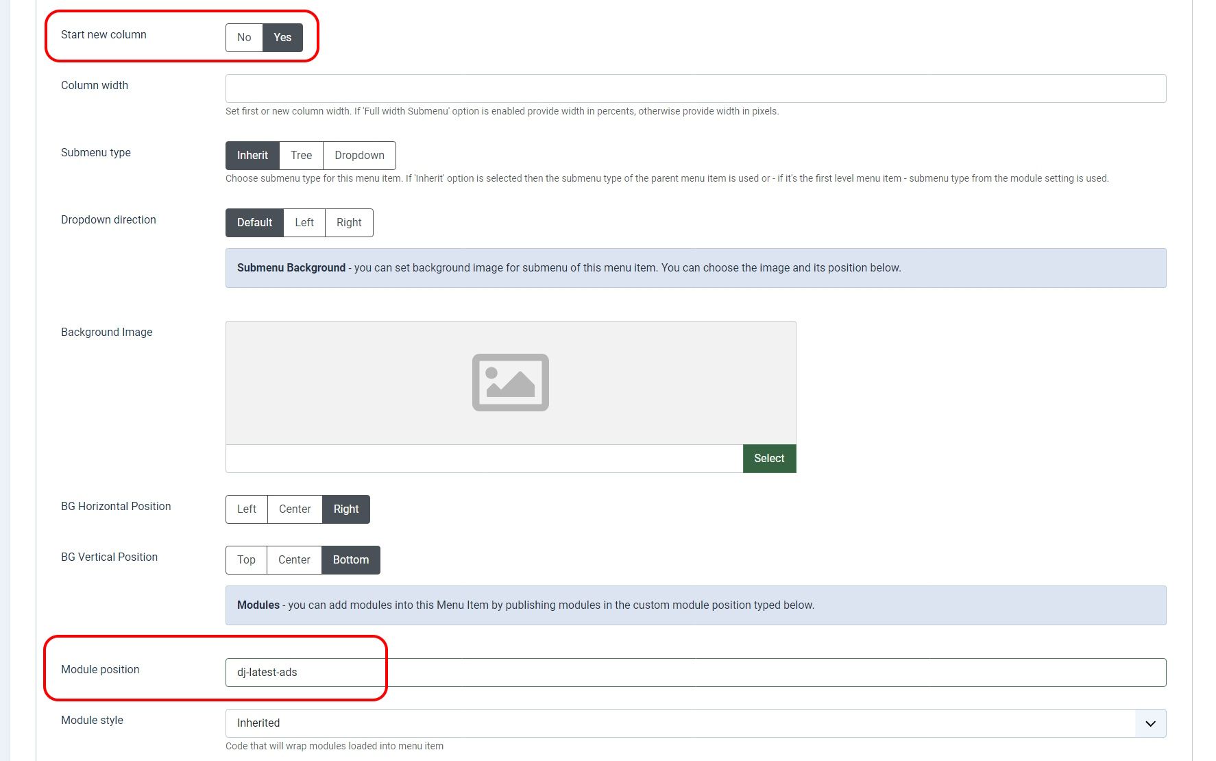 Screenshot of a DJ-MegaMenu options tab with Module Position setting highlighted.